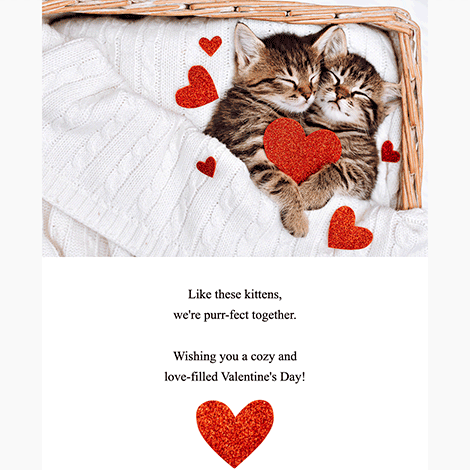 Valentine's Day Love Cats eCard